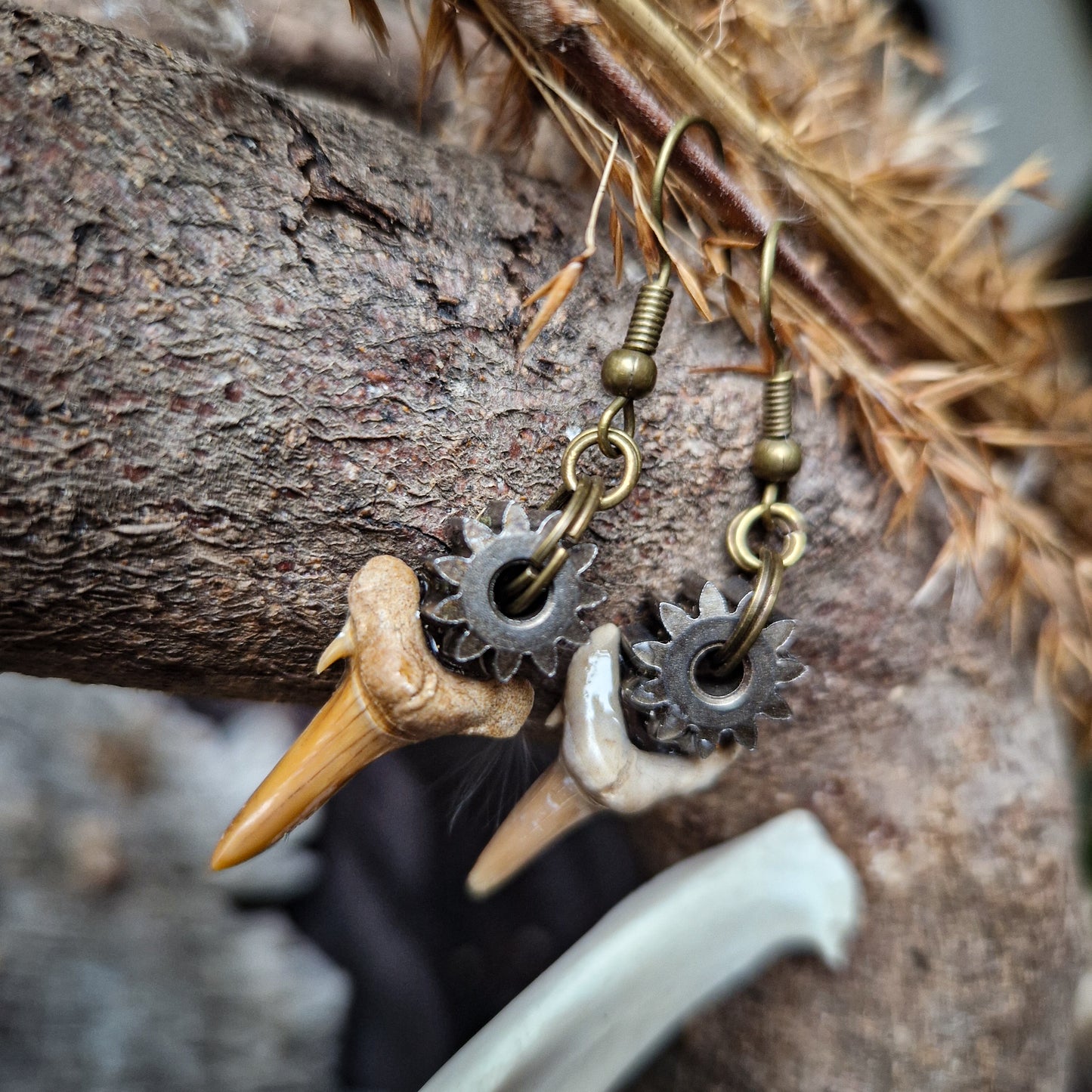 Shark teeth earrings