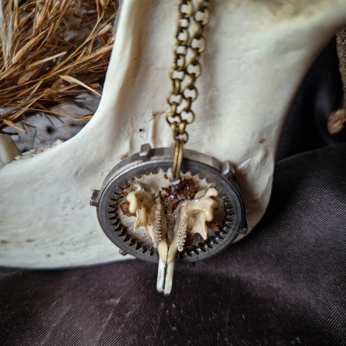 Full rat jaw necklace