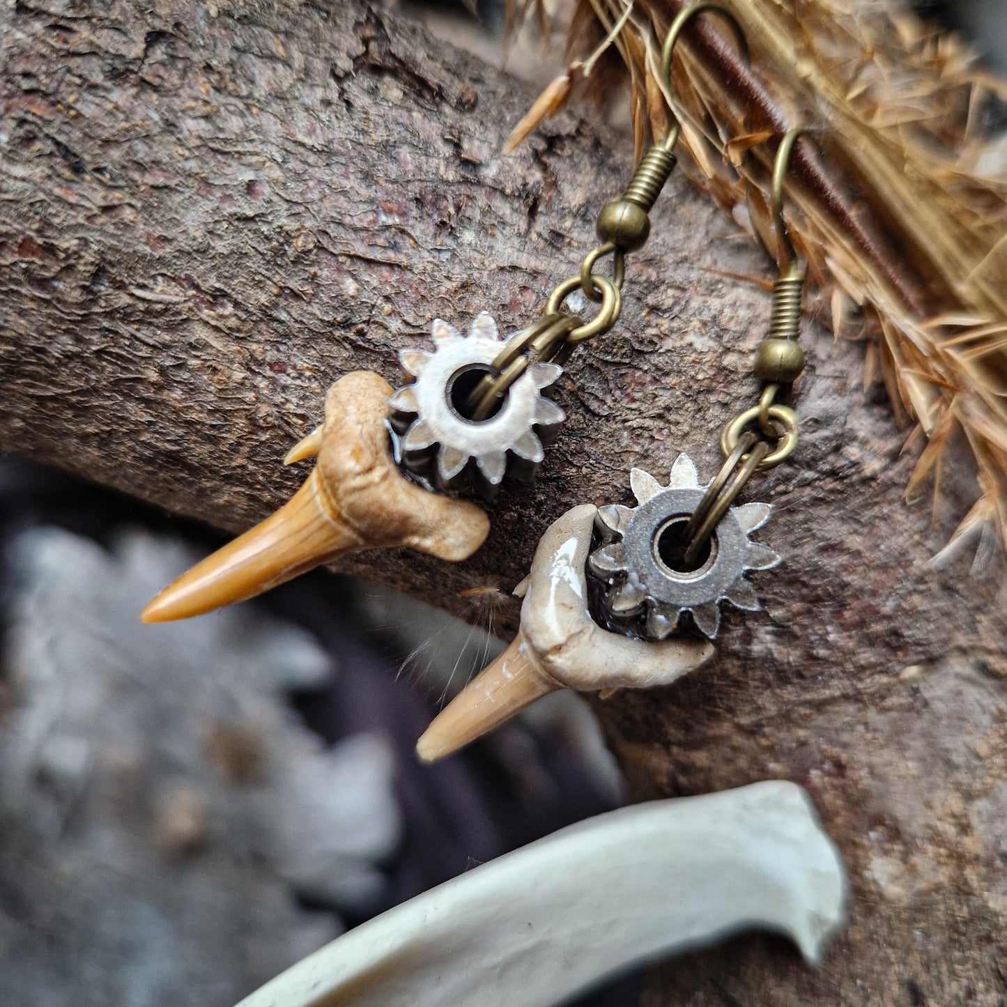 Shark teeth earrings