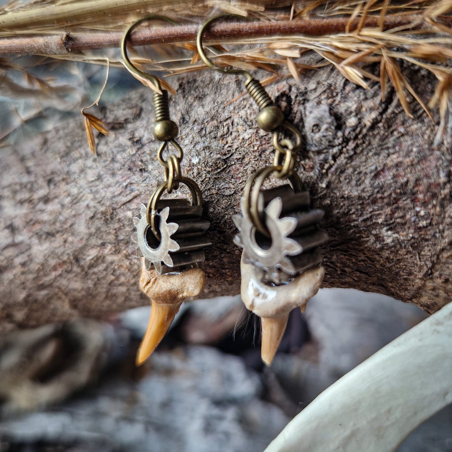 Shark teeth earrings