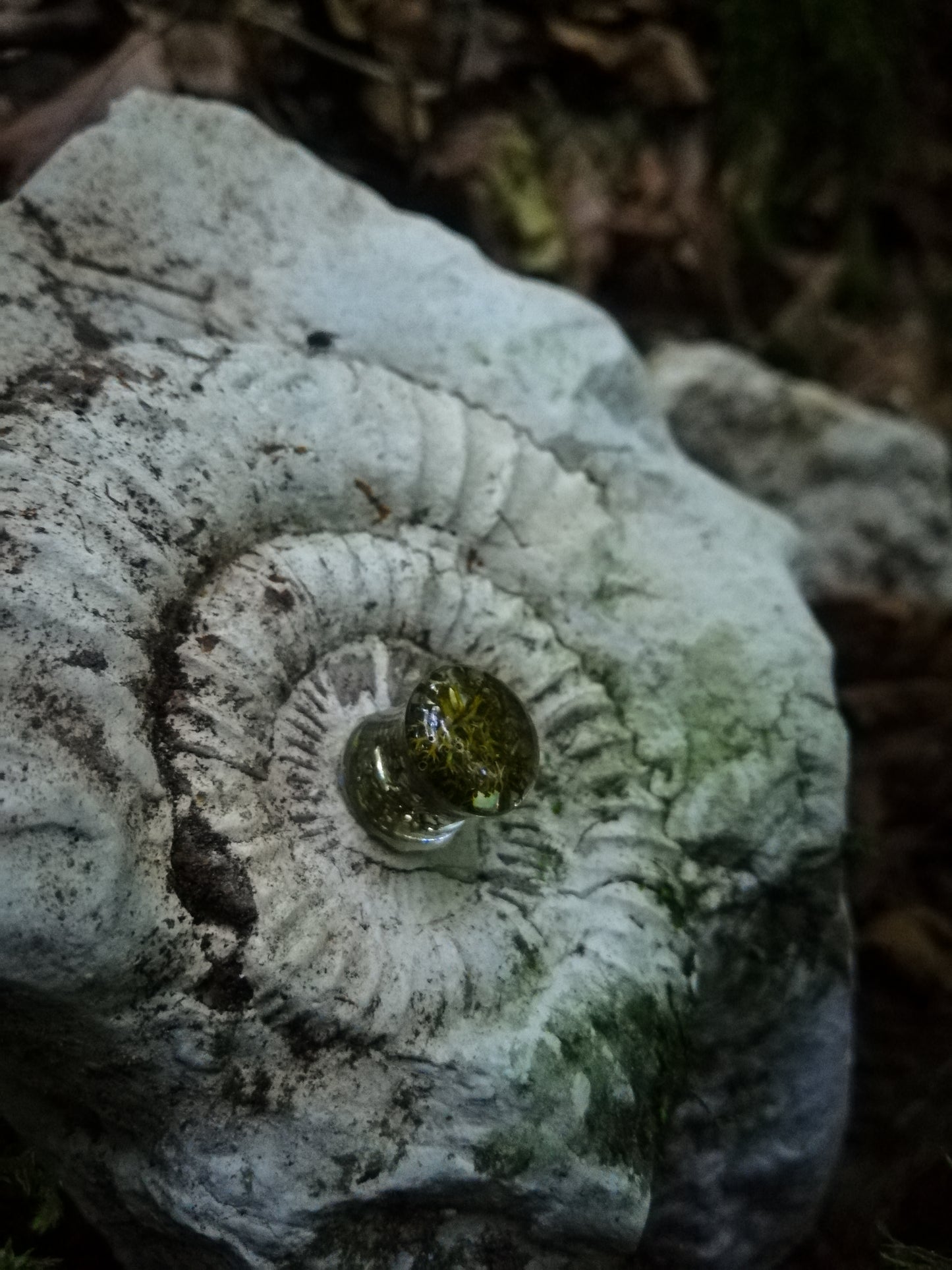 Moss plugs