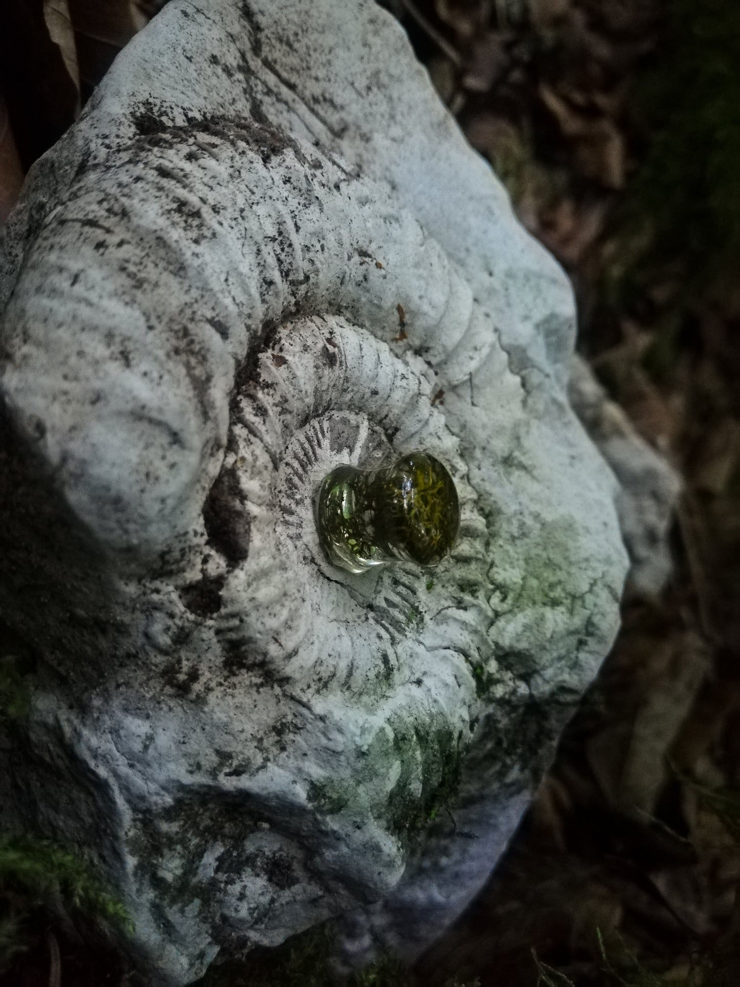 Moss plugs